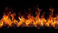 Abandonados tras el fuego