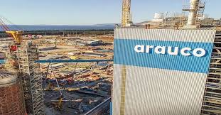 Arauco abre ofertas laborales en distintas regiones: buscan ingenieros, técnicos y brigadistas