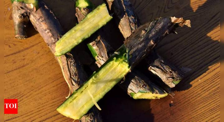 Giloy side effects: Liver risks and health precautions you must know