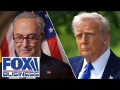 'BIZARRE': Schumer just gave Trump a huge opportunity
