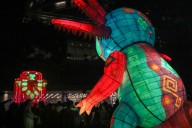 Reforma se ilumina con el Festival Internacional de Luz