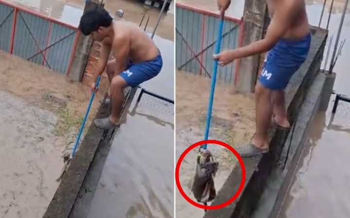 Video | Niño rescató a gatito durante inundaciones en Veracruz