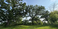 Willow Drive Mounds and Habitation Complex registered to National Register of Historic Places