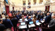 En vivo: el Senado debate los vetos a los fondos para el Garrahan y Universidades