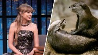 Taylor Swift’s film Easter egg sparks $2M windfall for sea otters