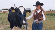 Live Cow, Student-Athletes Star In University Of Wyoming Dairy NIL Deal
