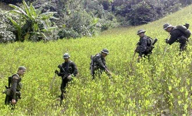 Rutas, precios y poder: cómo se está reorganizando el narcotráfico bajo la presión de EE.UU.