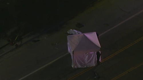 1 pedestrian killed, another hospitalized in Lake View Terrace hit