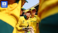 Injured Australian captain Alyssa Healy out of Women's Cricket World Cup match with England