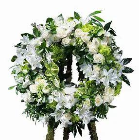 SCATTONE VDA. DE PETRUZZI MARY YOLANDA