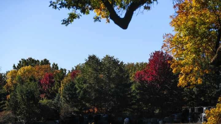 When and where to enjoy Green Bay area's fall colors in 2025