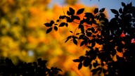 Warm with some sun: Your Thursday Calhoun County weather forecast