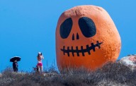 Halloween is coming, which means it’s time to visit Pumpkin Rock in Norco