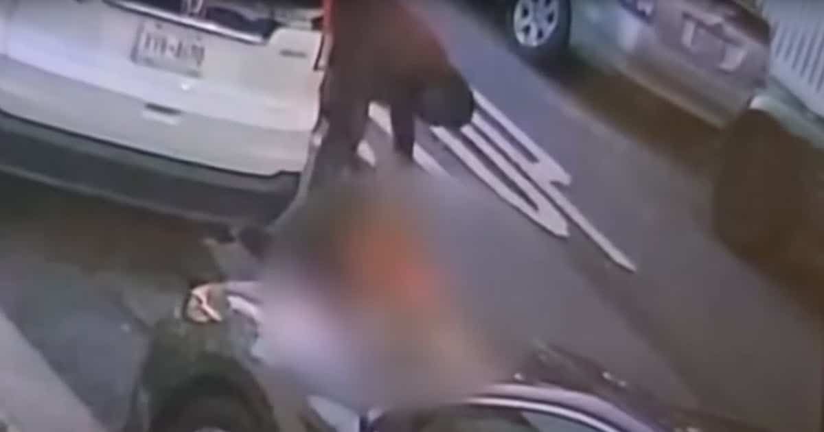 Dog Beaten and Set on Fire, Prosecutors Bring Case to Court