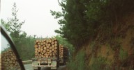 Aranceles: Corma pide al Estado favorecer consumo interno de madera y Sofofa revela  reuniones en EE.UU.