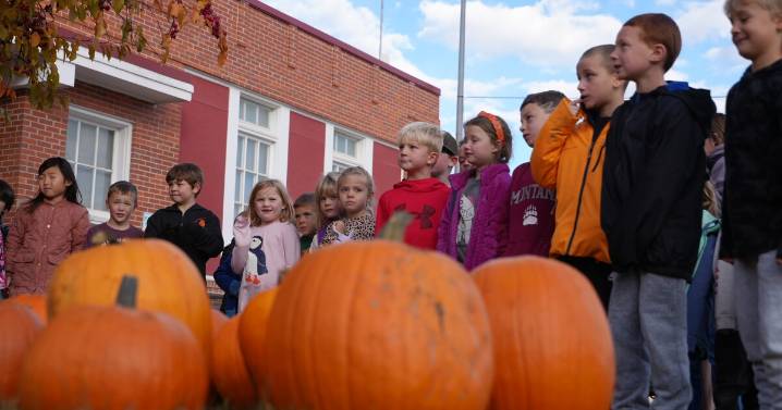 Using pumpkins to teach kids about where food comes from