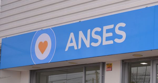 Cómo solicitar la PUAM de ANSES de manera digital y en simples pasos