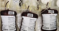 U-M fans encouraged to donate blood in annual Blood Battle against OSU