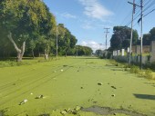 Aguas podridas y viviendas en riesgo: así están algunos sectores de Ciudad Bolívar