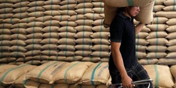 Arroceros denuncian al Gobierno Petro por incumplimientos en el pago y el precio del alimento: “Surgen compradores piratas”