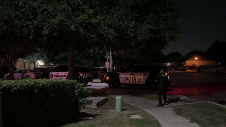 Woman killed, suspect in custody after Lewisville officer