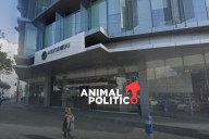 20 años de investigaciones sobre educación están perdidas tras baja de sitios web de INEE y Mejoredu