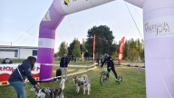 El Coyanza Mushing toma velocidad, en imágenes