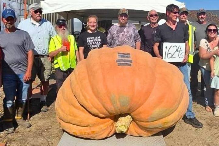 The Biggest Pumpkin in Maine for 2025 Weighs Over 1,600 Pounds
