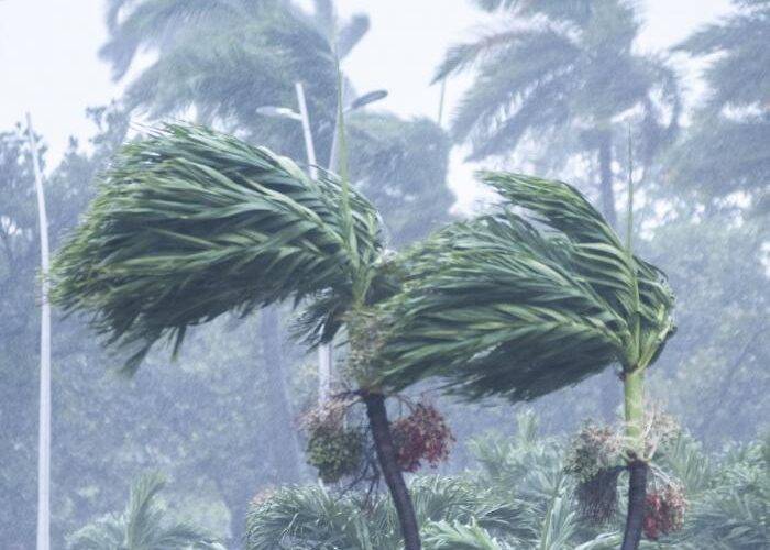 Ante el inminente impacto de Melissa, alertas, solidarios y disciplinados