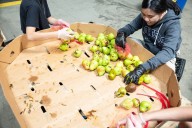 New rules for CalFresh food program mean thousands in San Diego losing benefits