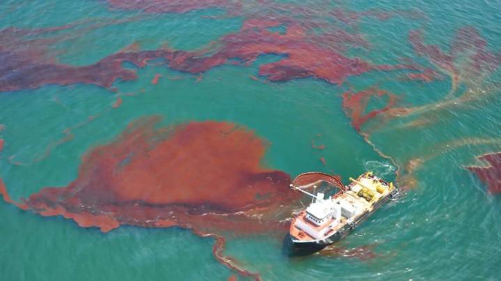 Oceana advierte de los riesgos por derrames petroleros en aguas profundas del Golfo de México