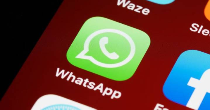 Estos son los documentos que no deberías escanear en WhatsApp para protegerte de estafas