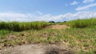 Terreno frente a la UD-17 no está baldío y exigen pronta entrega para viviendas