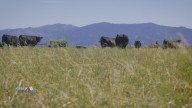 168 acres to burn in Tahoe National Forest for up to two weeks
