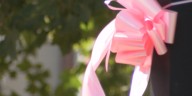 VIPink Event Lunch & Learn calls for breast cancer awareness