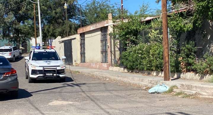 Alerta en Hermosillo por paquete con cuerpo lanzado desde un vehículo; era de un perro, confirma policía