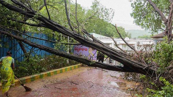 Cyclone Montha batters Andhra Pradesh coast, leaves trail of destruction