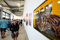 Boulder’s NoBo Art District earns state certification from Gov. Polis as a Colorado Creative District