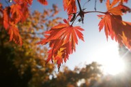 Portland sees patchy clouds, sunshine Thursday. Will Halloween stay mostly dry?