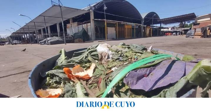 En San Juan se tiran más de 125 toneladas mensuales de frutas y verduras que ya no sirven para consumo humano