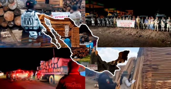 Profepa desmantela aserraderos ilegales en todo México: decomisan madera, carbón y maquinaria en 32 estados