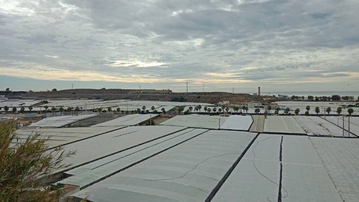 El acuerdo UE-Marruecos tendrá un «efecto devastador» en el sector hortofrutícola