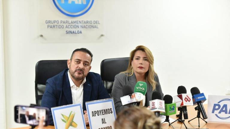 Culpa Roxana Rubio a los diputados federales de Morena de la crisis agrícola en Sinaloa