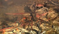 Blast at a Tennessee explosives plant leaves multiple people dead and missing, sheriff says