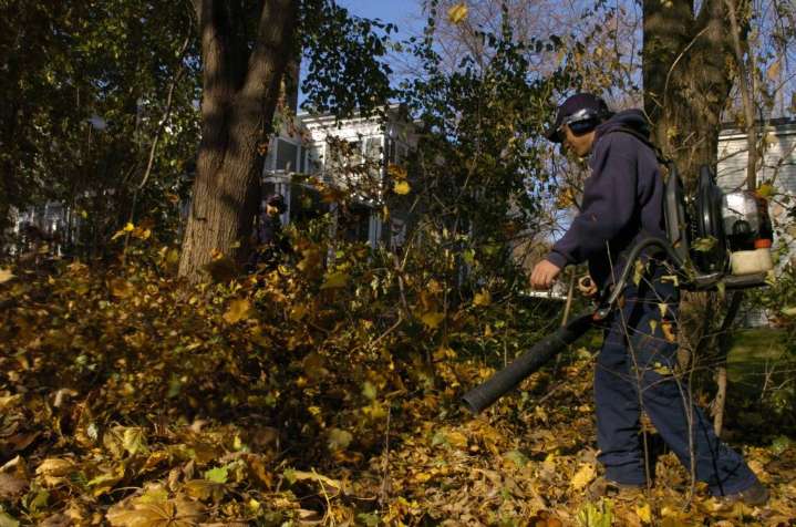 Oak Park alters leaf blower ban amid immigration enforcement