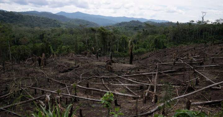 La deforestación afecta los "ríos voladores" que hidratan al Amazonas, señala estudio