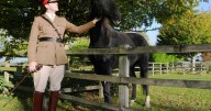 Caballo del ejército británico que galopó por Londres tras asustarse recibe merecida jubilación