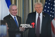 Trump da a Hamás un ultimátum para responder a su plan de paz en Gaza
