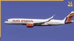 Air India Cabin Log Goes Viral After ‘Cockroach Execution’ Mid