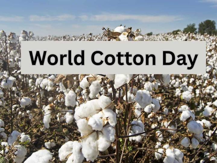 World Cotton Day 2025: Farmers urge buying cotton from government over private companies